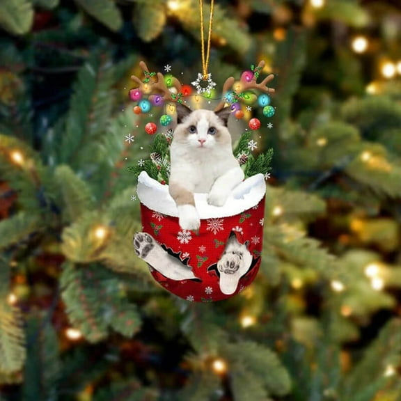 Acrylic 2D FLAT Ragdoll Cat In Snow Pocket Christmas Ornament