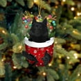 thumbnail image 1 of Acrylic 2D FLAT - Schipperke In Snow Pocket Christmas Ornament Flat Acrylic Dog Ornament - Holiday Tree Decoration, 1 of 3