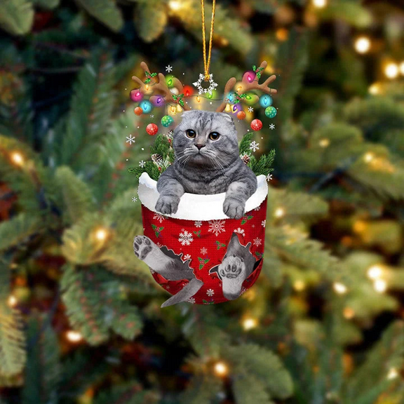 Acrylic 2D FLAT Scottish Fold Cat In Snow Pocket Christmas Ornament