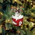 thumbnail image 1 of Acrylic 2D FLAT Snowshoe Cat In Snow Pocket Christmas Ornament, 1 of 3
