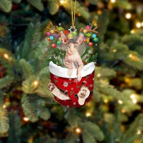 Acrylic 2D FLAT Sphynx Cat In Snow Pocket Christmas Ornament