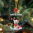 thumbnail image 1 of Acrylic 2D FLAT - Weechon Christmas Ornament, Christmas Ornament, Dog Ornament, Xmas Dog Ornaments - Holiday Tree Decoration, 1 of 3