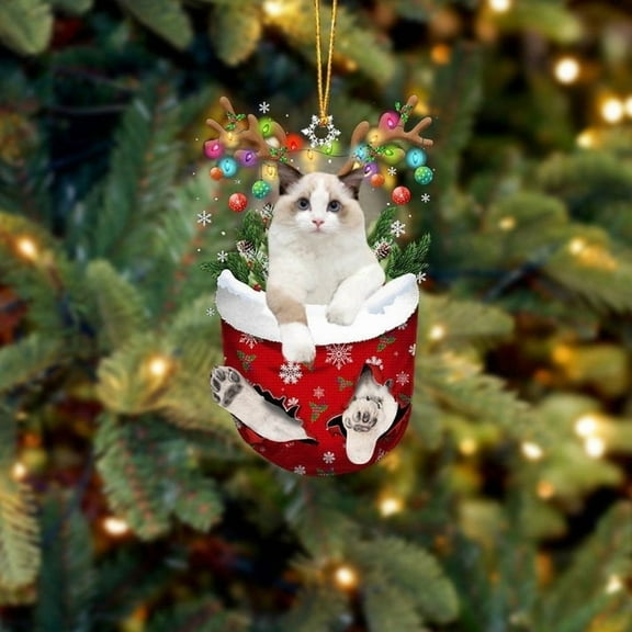 Acrylic 2D FLAT - White Ragdoll Cat In Snow Pocket Christmas Ornament Flat Acrylic Cat Ornaments - Holiday Tree Decoration
