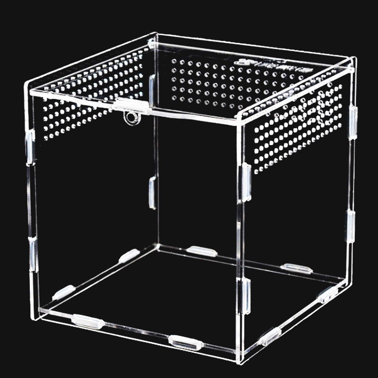 Acrylic Aquarium, 360 ° Transparent Acrylic Container, Used for Spiders ...