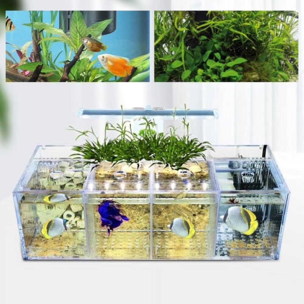 LED Light Aquarium Acrylic 4 Grids Betta Fish Tank Isolation Box with Pump