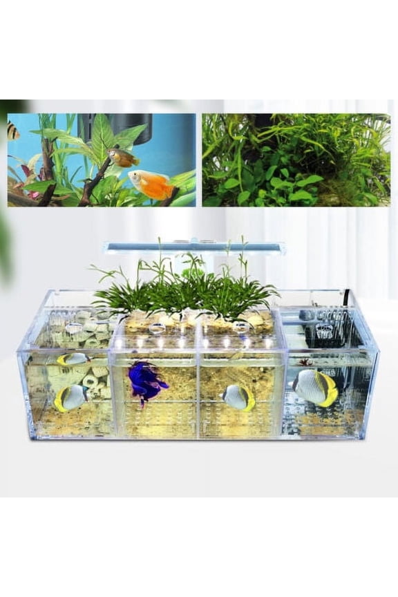 LED Light Aquarium Acrylic 4 Grids Betta Fish Tank Isolation Box with Pump