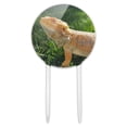 thumbnail image 1 of Acrylic Bearded Dragon in Profile Cake Topper Party Decoration for Wedding Anniversary Birthday Graduation, 1 of 6