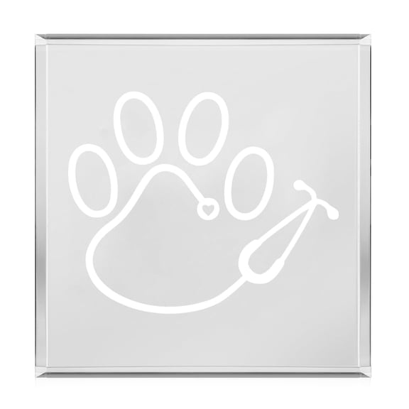 Acrylic Block Sign Art Home Desk Decor Gift Paw Steth Scope Veterinary Technician Vet Tech Vet