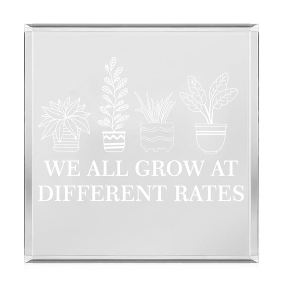 Acrylic Block Sign Art Home Desk Decor Gift We All Grow At Different Rates Special Education Teacher