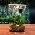 thumbnail image 1 of Acrylic Clear Climbing Pet Breeding Box Acrylic Reptile Terrarium Gecko Lizard Spider Vivarium Pet Cage Tank House Clear Frog Pet Snake Terrarium, 1 of 12