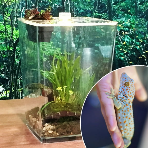Acrylic Clear Reptile Terrarium Enclosure Cage Lizard Frog Pet Snake Lives Tank