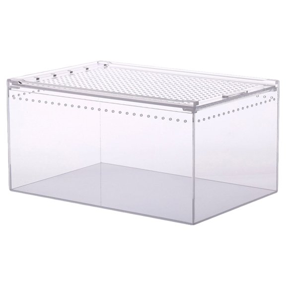 Acrylic Climbing Pet Feeding Container Transparent Case for Reptile Habitat