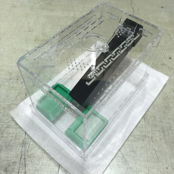 Acrylic Cricket Keeper Tanks with Removable Lid and Feeding Tube for Easy Insect