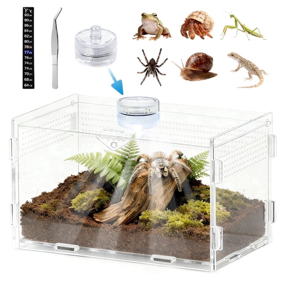 Acrylic Clear Reptile Terrarium Enclosure | reptile tank for Jumping Spider, Tarantula, Praying Mantis, Frog,hermit crab ,easy assembly