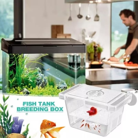 Acrylic Fish Breeder Box with Suction Cups for Guppy Betta Isolation