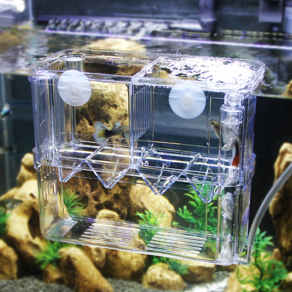 Acrylic Fish Breeding Aquarium Dual Layer Hanging Fry Baby Fish