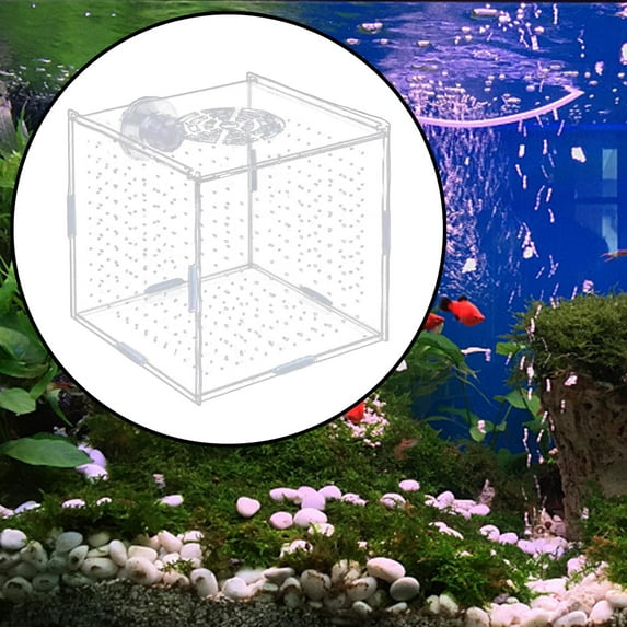Acrylic Fish Tank Box Fry Breeder for Aggressive Fish Newborn Fry 10x10x10cm