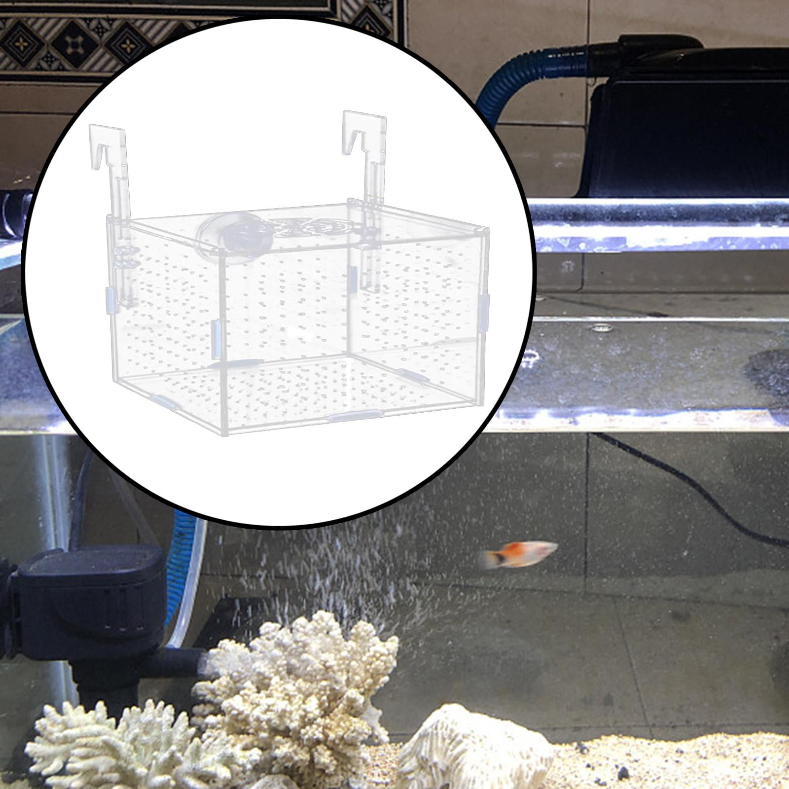 Acrylic Fish Tank Box Fry Breeder for Aggressive Fish Newborn Fry