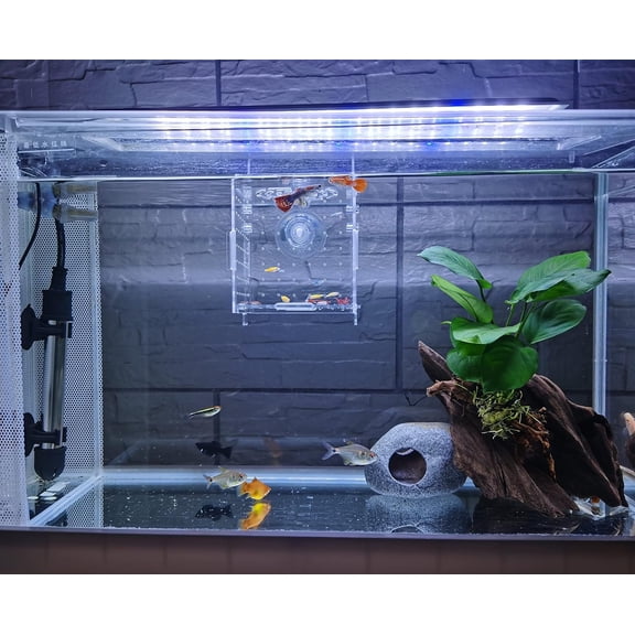 Acrylic Fish breeding Box, Acrylic Fish Isolation Box, Fish Separator for Aquarium, Hatchery Incubator with Suction Cups for Small Baby Fishes Shrimp Clownfish Guppy (3.9 * 3.9 * 3.9inch)