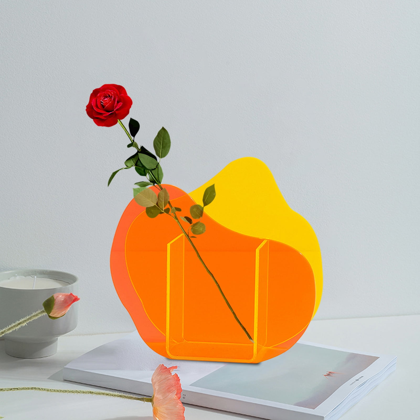Illustration of Goldfish Holder For Small Tanks
