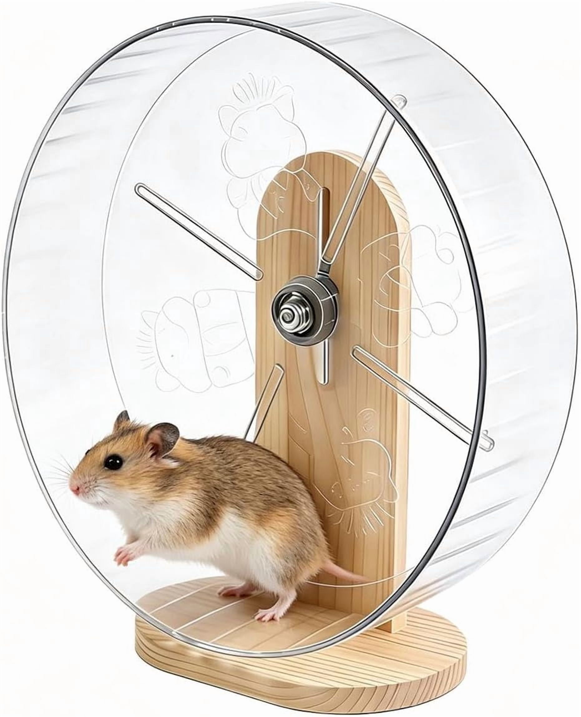 Acrylic Hamster Wheel, Small Pet Exercise Toy, Clear