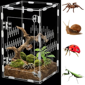 Acrylic Jumping Spider Enclosure, 5.9 x 5.9 x 9.8 in Clear Reptile Terrarium Enclosure with Secure Lock and Ventilated Holes, 360 Viewing Reptiles Habitat Tank Breeding Box for Spider Snake Lizard