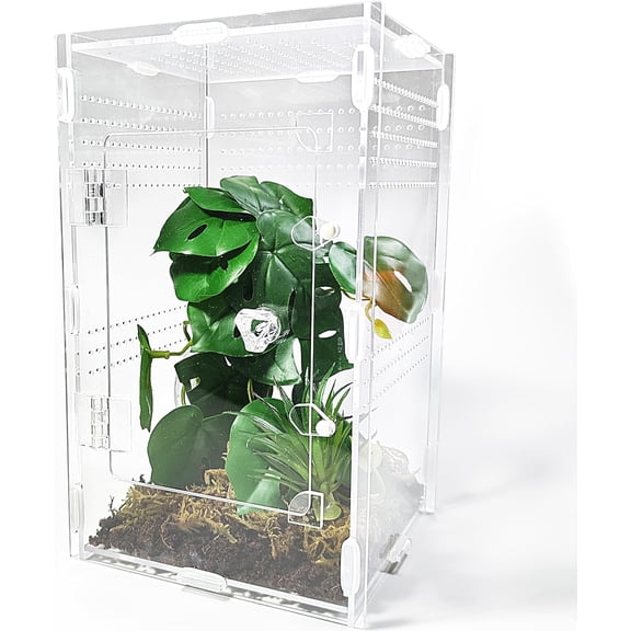 Acrylic Jumping Spider Enclosure Large 6x6x10 with Front Door, Arboreal Tarantula Enclosure, Praying Mantis Habitat for Spider, Mantis, Snail, Tarantula, Isopods, Beetles, Millipedes
