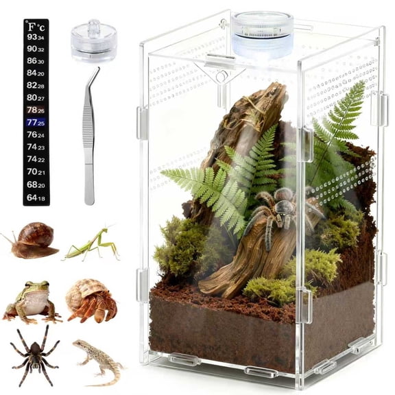 Acrylic Jumping Spider Enclosure, Small Reptile Insect Terrarium, Spider Tank with Magnetic Door & All-Side Vent, Pre-Assembled Habitat for Spiderling, Mantis, Tarantula, Snail 7.8" * 4.7" * 4.7
