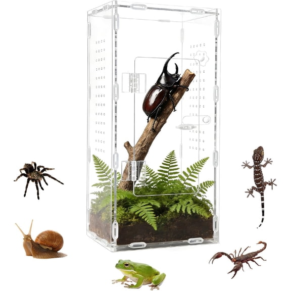 Acrylic Jumping Spider Enclosure, Transparent Reptile Terrarium Enclosure, Small Reptiles Habitat Tank Breeding Box for Tarantula Insect Snake Lizard