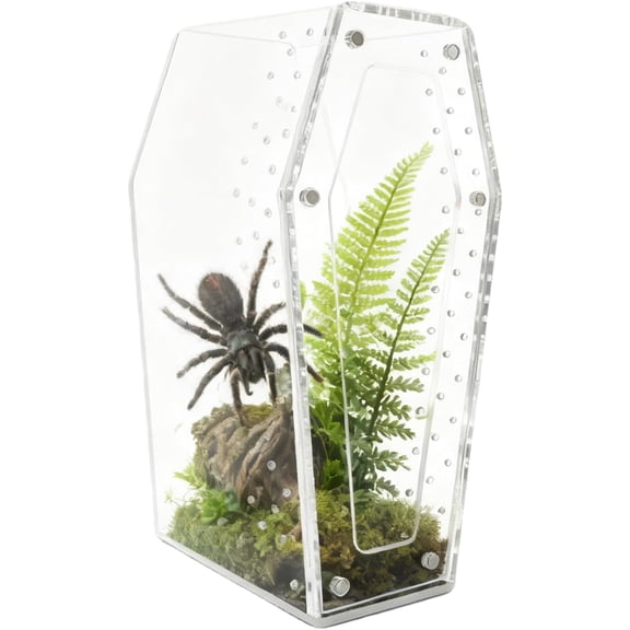 Acrylic Jumping Spider Enclosure with Magnetic Sliding Lid | Ventilated Terrarium Habitat for Arboreal Tarantula, Mantis, Display