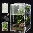 thumbnail image 1 of Acrylic Jumping Spider Habitat & Insect Terrarium - Enclosures for Praying Mantises, Frogs & Small Bugs, 1 of 6