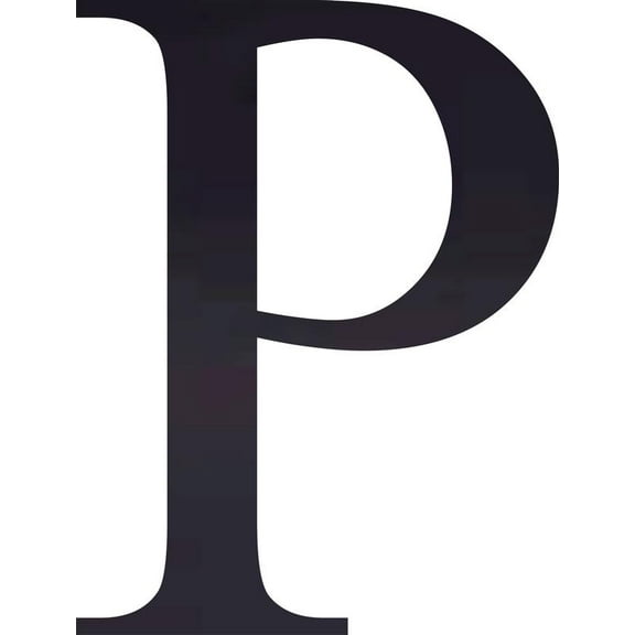 Acrylic Letter P Times, 10'' Tall Transparent Black Custom Acrylic Letters, Choose Your Color