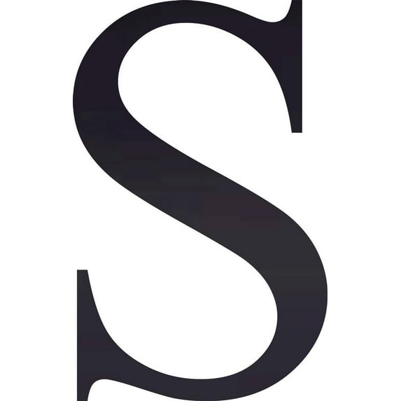 Acrylic Letter S Times, 10'' Tall Transparent Black Custom Acrylic Letters, Choose Your Color