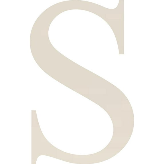 Acrylic Letter S Times, 6'' Tall White Acrylic Alphabet Letters, Choose Color Option