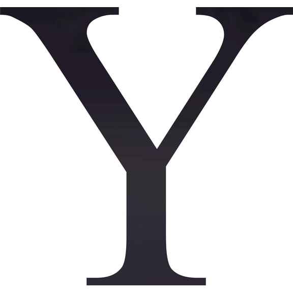 Acrylic Letter Y Times, 8'' Tall Transparent Black Custom Acrylic Letters, Choose Color Option