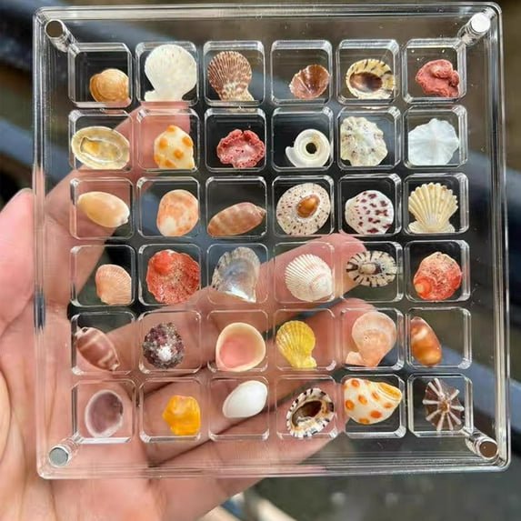 Acrylic Magnetic Seashell Display Box: 36 Grids Seashell Display Case, DIY Acrylic Jewelry Organizer, Clear Acrylic Organizer Diamond Gemstone Beads Storage Display Box Rock Display Case (36 Grid)