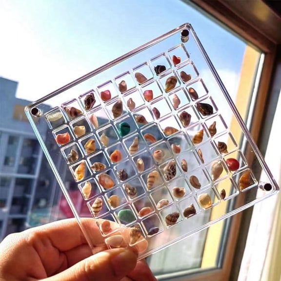 Acrylic Magnetic Seashell Display Box,Diamond Gemstone Beads Storage Display Organizer Box Grid Clear Acrylic Seashell,F