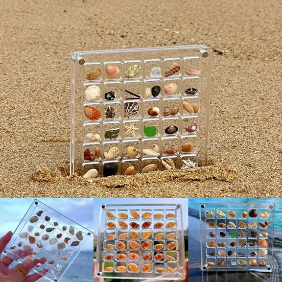 Acrylic Magnetic Seashell Display Box, Seashell Storage Box Display Case Decorative Seashell Starfish Trinket, Small Craft Organizers Container for Bead, Nail, Jewelry