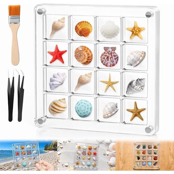 Acrylic Magnetic Seashell Display Case,16 Grids,Transparent,1 Pack