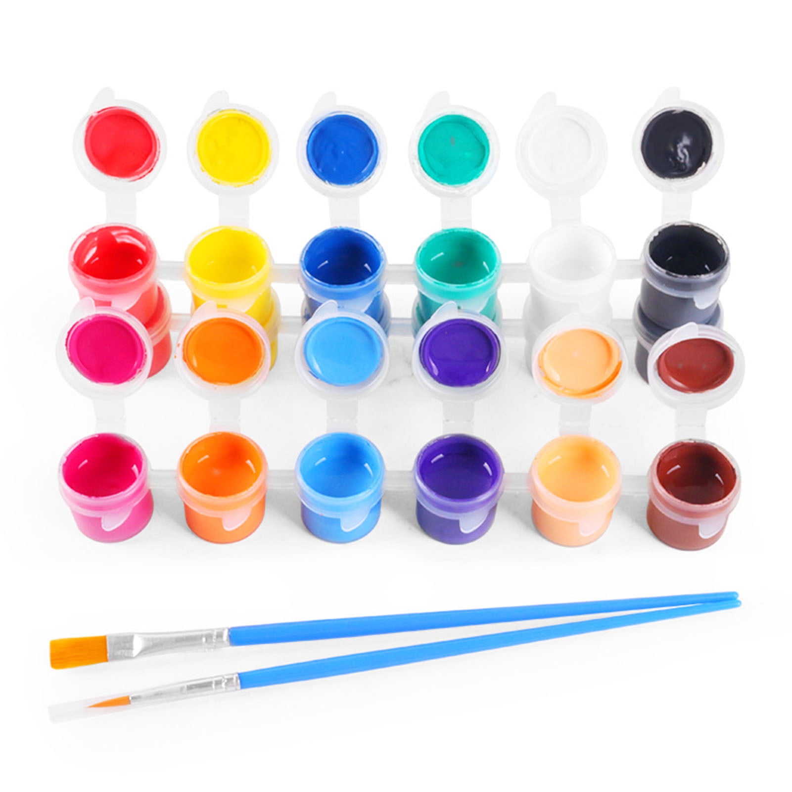 Acrylic Paint Kit with 12 Colors Acrylic Paints 2 Paint Brushes Strong ...