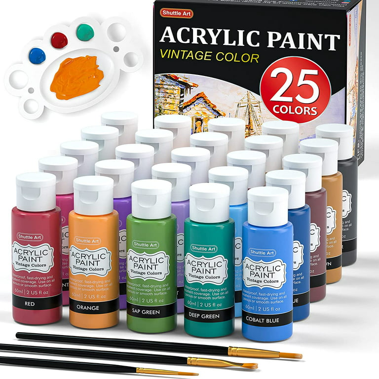 Aen Art Acrylic Paint, Set of 24 Colors Craft Paint Supplies for Canvas,  Painting, Wood, Ceramic & Fabric, Rich Pigments Non Toxic Paints for  Artists & Hobby Painters, 2 fl oz /