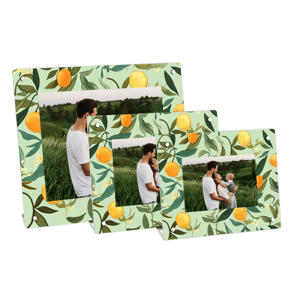 Acrylic Picture Frame Desktop Frame with Botanical Print Clear Acrylic ...