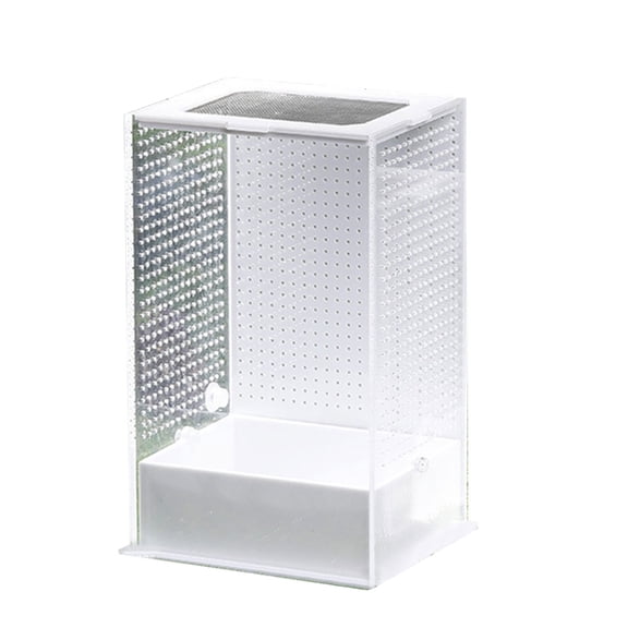 Acrylic Reptile Terrarium Insect Tarantulas Enclosure-Tanks Snail Spider Habitat Mini Critter Keeper Insect Carrier