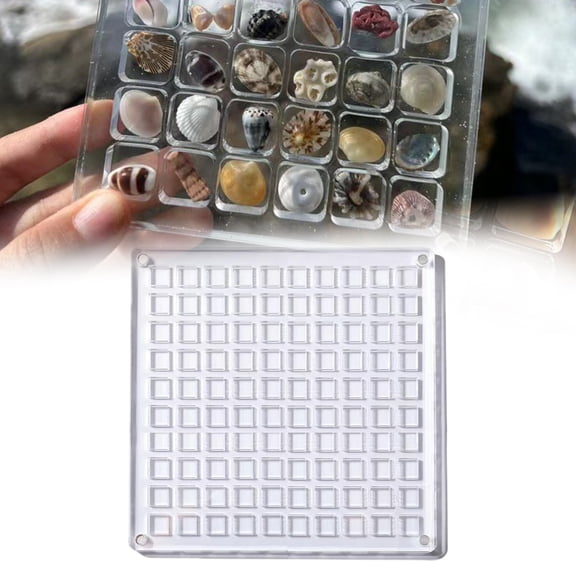 Acrylic Seashell Display Box,36/64/100 Grids Summer Beach Seashell Display Case