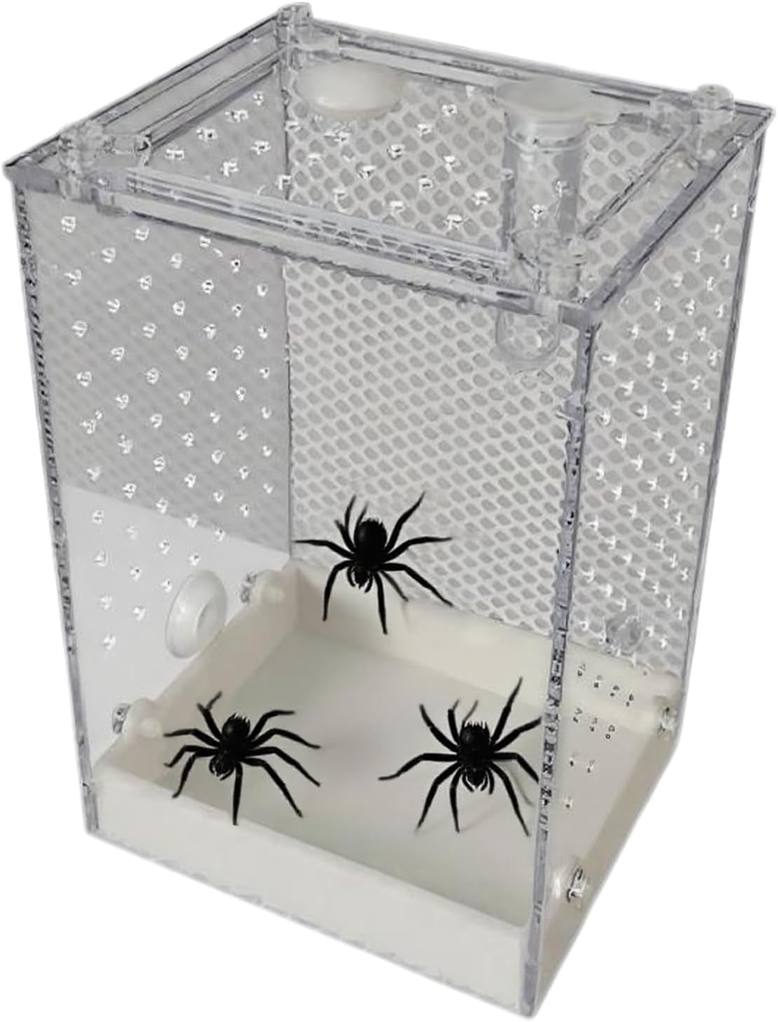 Acrylic Spider Habitat, 10x9x15 cm Terrarium for Jumping Spiders