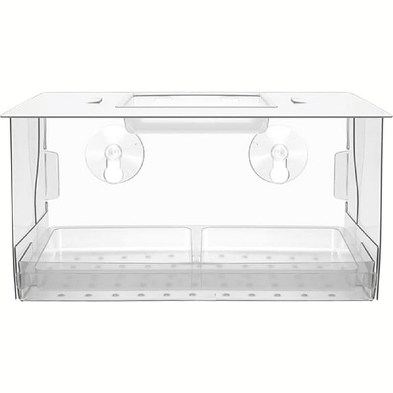 Acrylic Suction Cup Bird Feeder Easy Fill Clean For Wild Birds Window