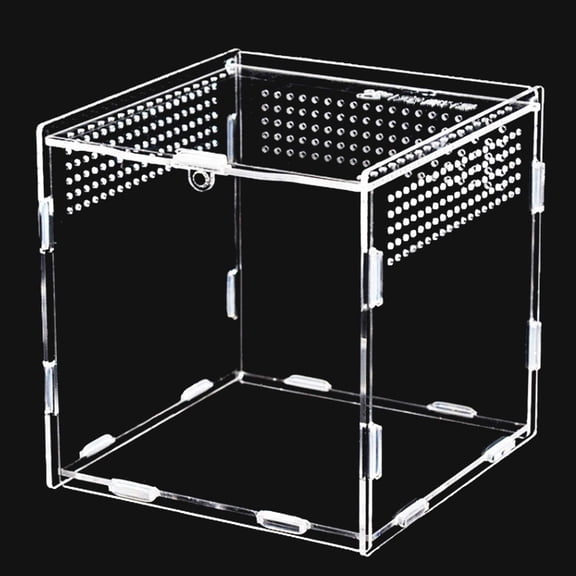 Acrylic Terrarium, 360 Transparent Acrylic Container for Spider, Scorpion, Scarab, Religious Cloak, Terrarium Box