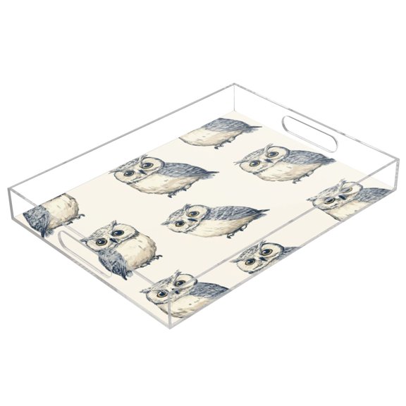 Acrylic Tray 15.7*11.8*1.9 Inch Transparent Tray Food Tray Tea Cup Tray Serving Trays Cosmetics Storage Kitchen Table Bathroom Sundry Storage Beautiful Blue Owl Pattern