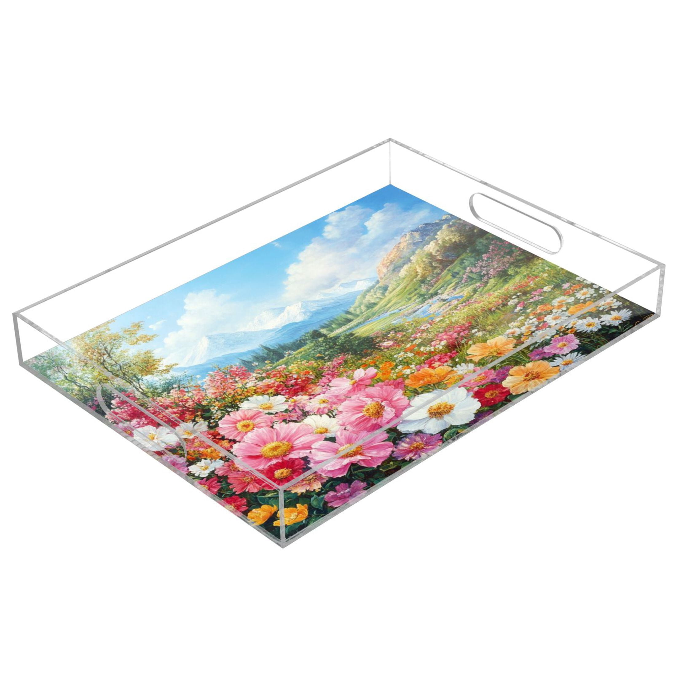 Translucent Tray Acrylic Tray 15.7*11.8*1.9 Inch Transparent Tray Food Tray Tea Cup Tray ...