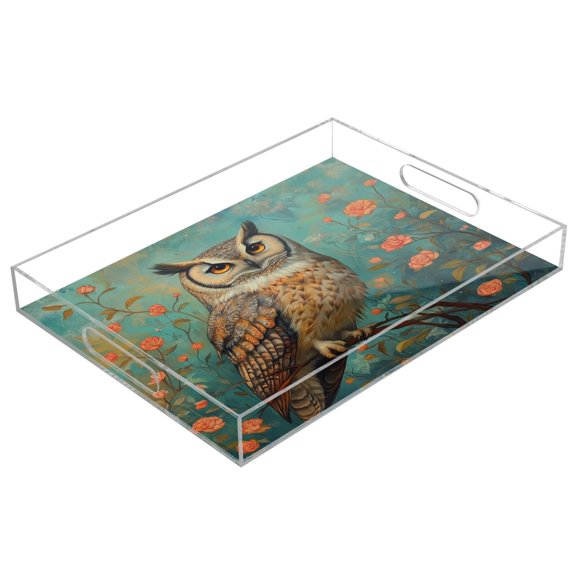 Acrylic Tray 15.7*11.8*1.9 Inch Transparent Tray Food Tray Tea Cup Tray Serving Trays Cosmetics Storage Kitchen Table Bathroom Sundry Storage Beautiful Brown Owl